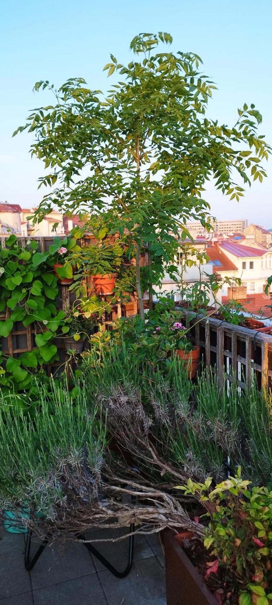 Affittacamere Guestrooms, Rooftop With Garden, Spacious Living Room, Character And Fireplace