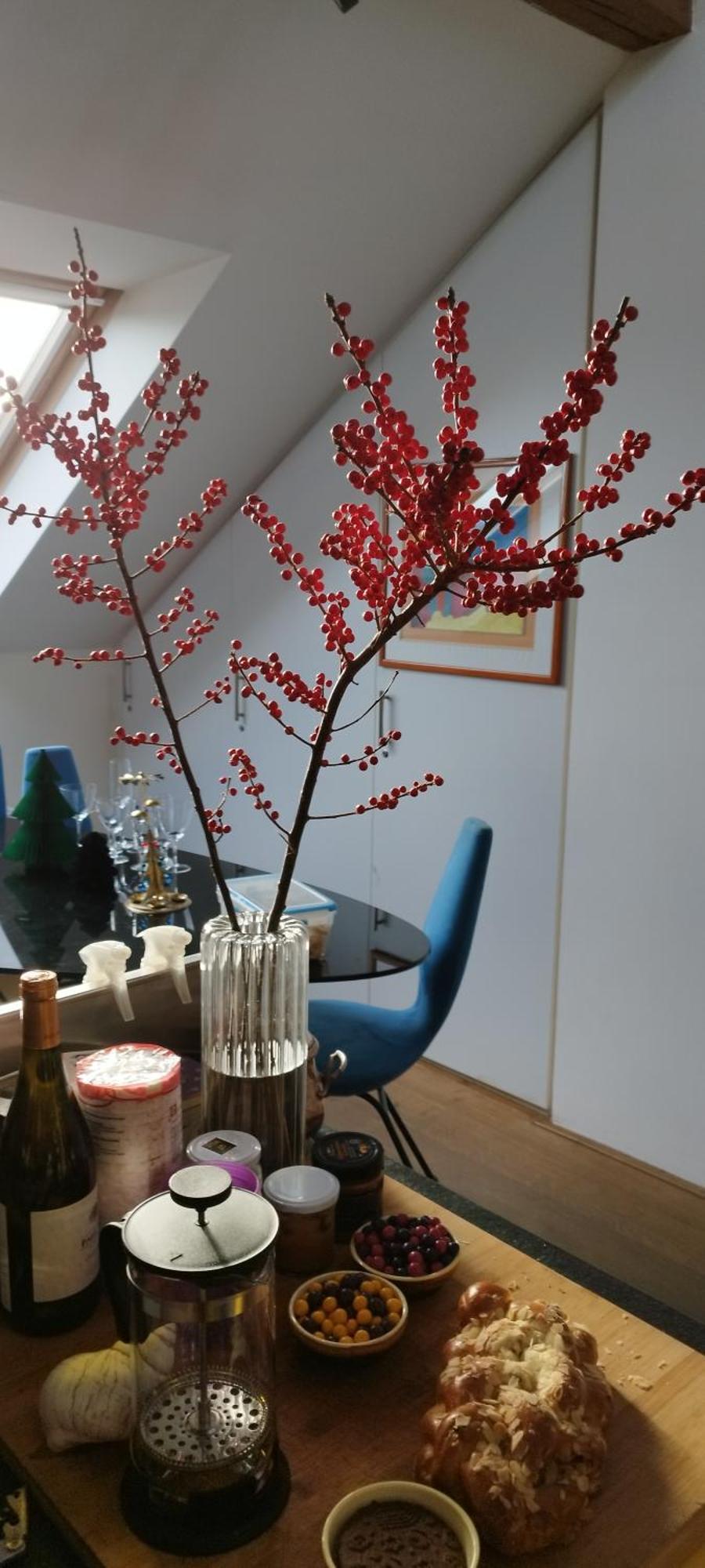 Guestrooms, Rooftop With Garden, Spacious Living Room, Character And Fireplace * Praga