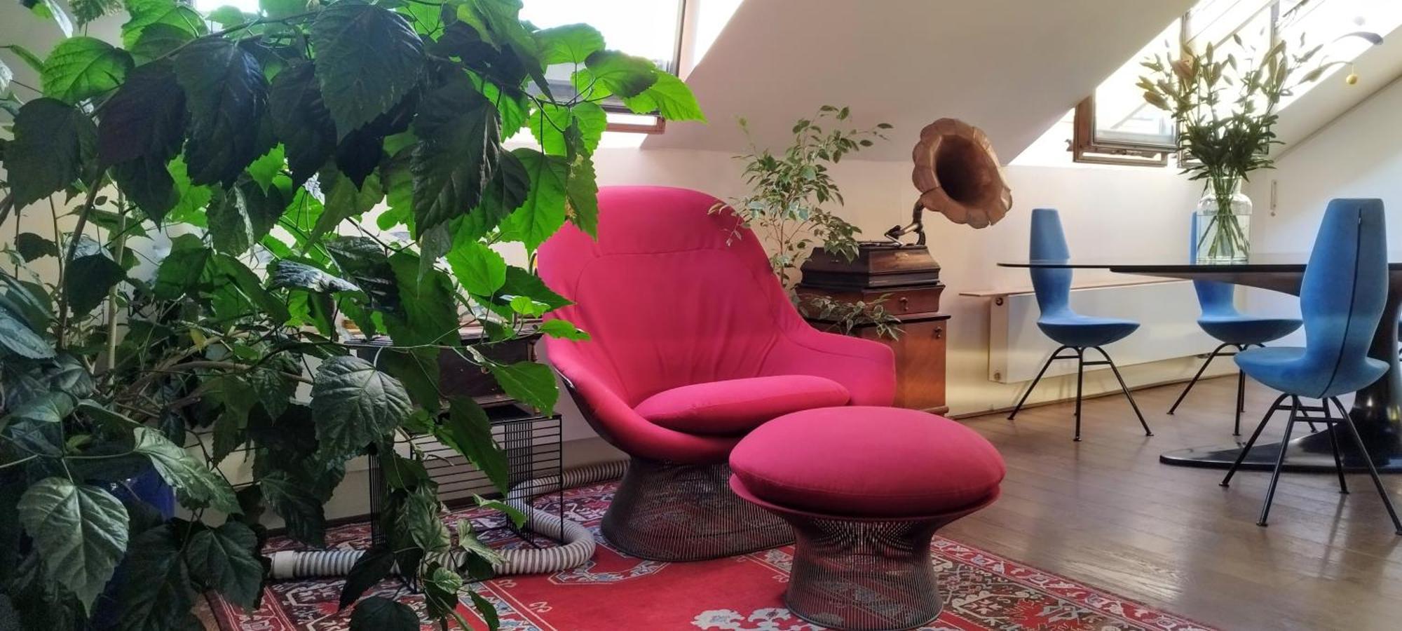 Guestrooms, Rooftop With Garden, Spacious Living Room, Character And Fireplace Affittacamere