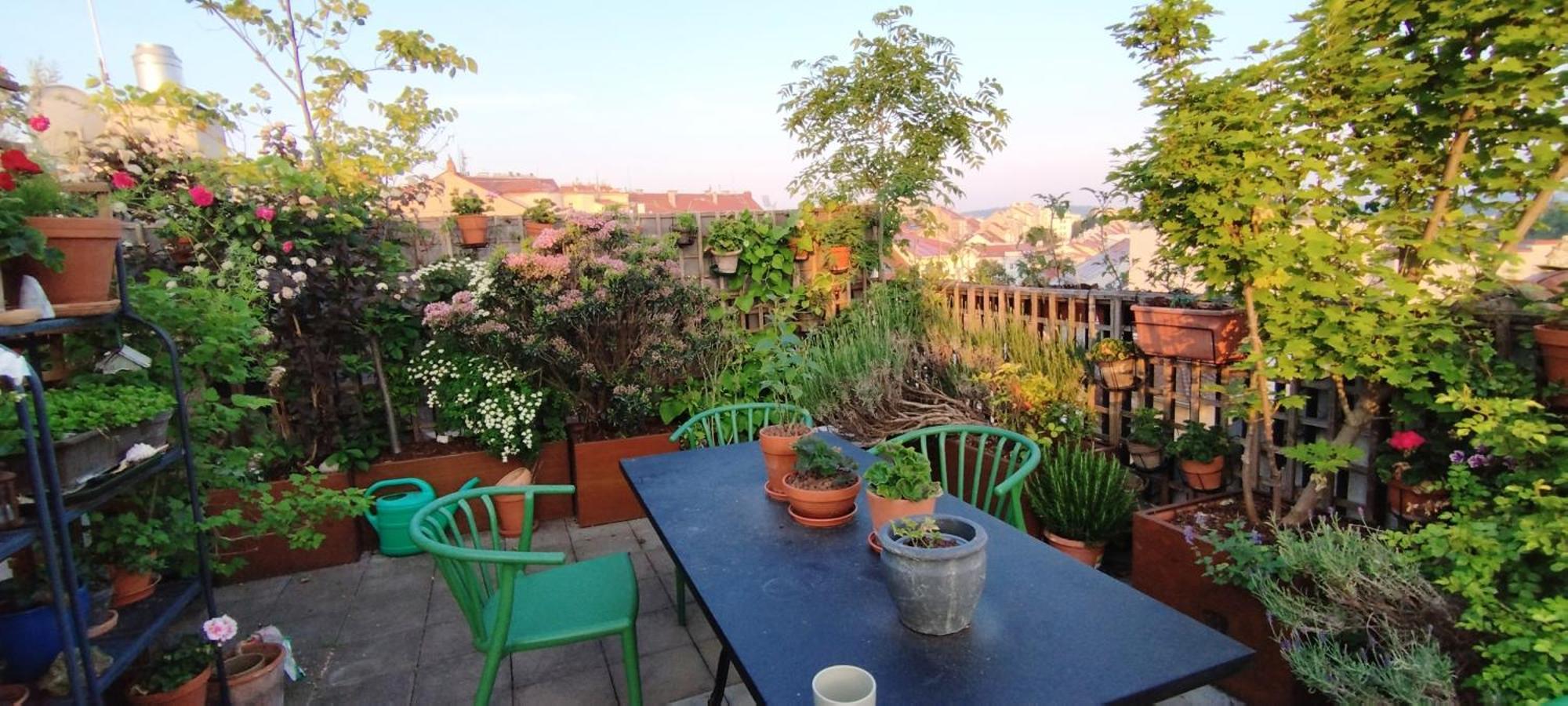 Guestrooms, Rooftop With Garden, Spacious Living Room, Character And Fireplace Affittacamere