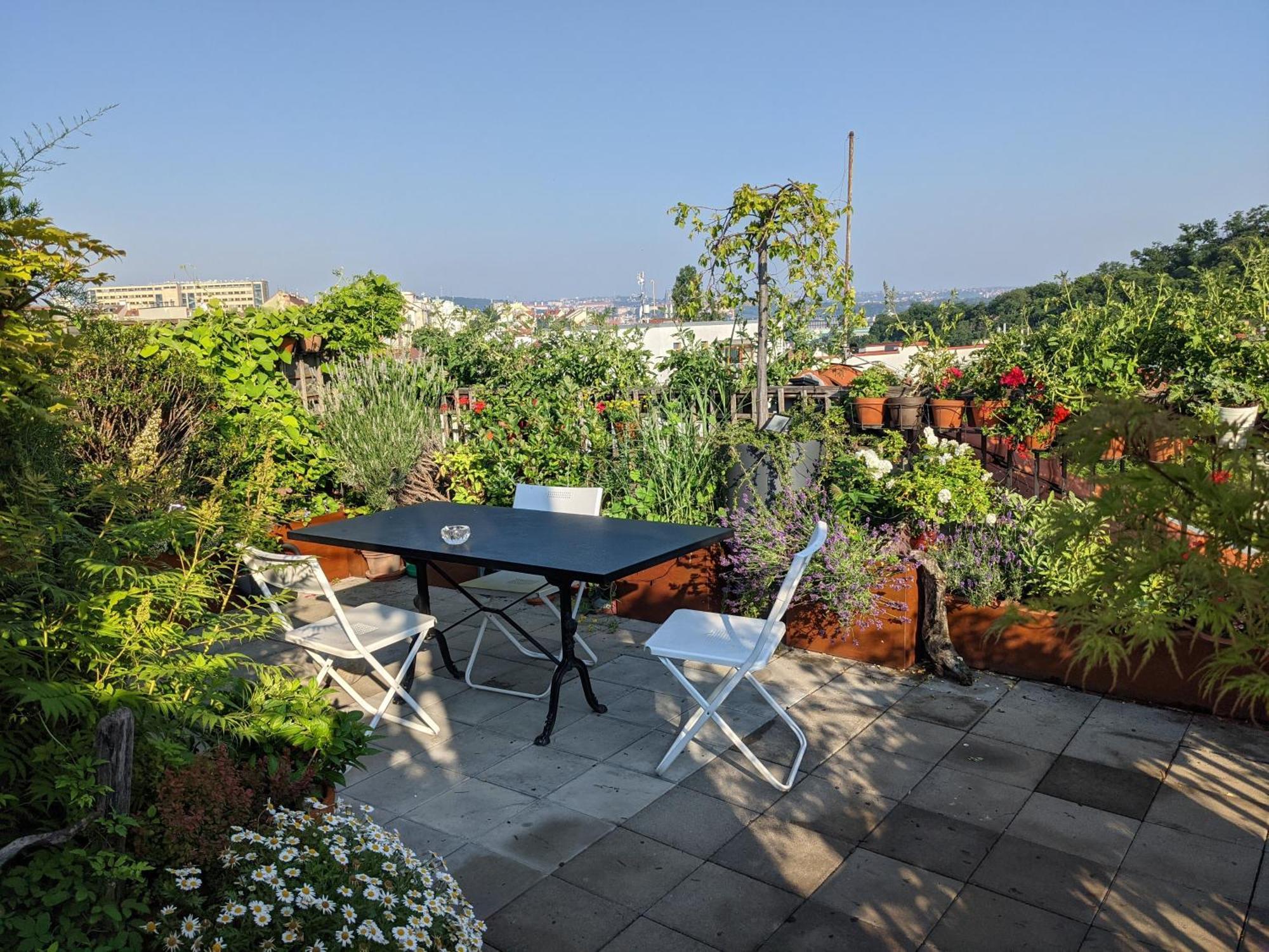 Guestrooms, Rooftop With Garden, Spacious Living Room, Character And Fireplace Affittacamere