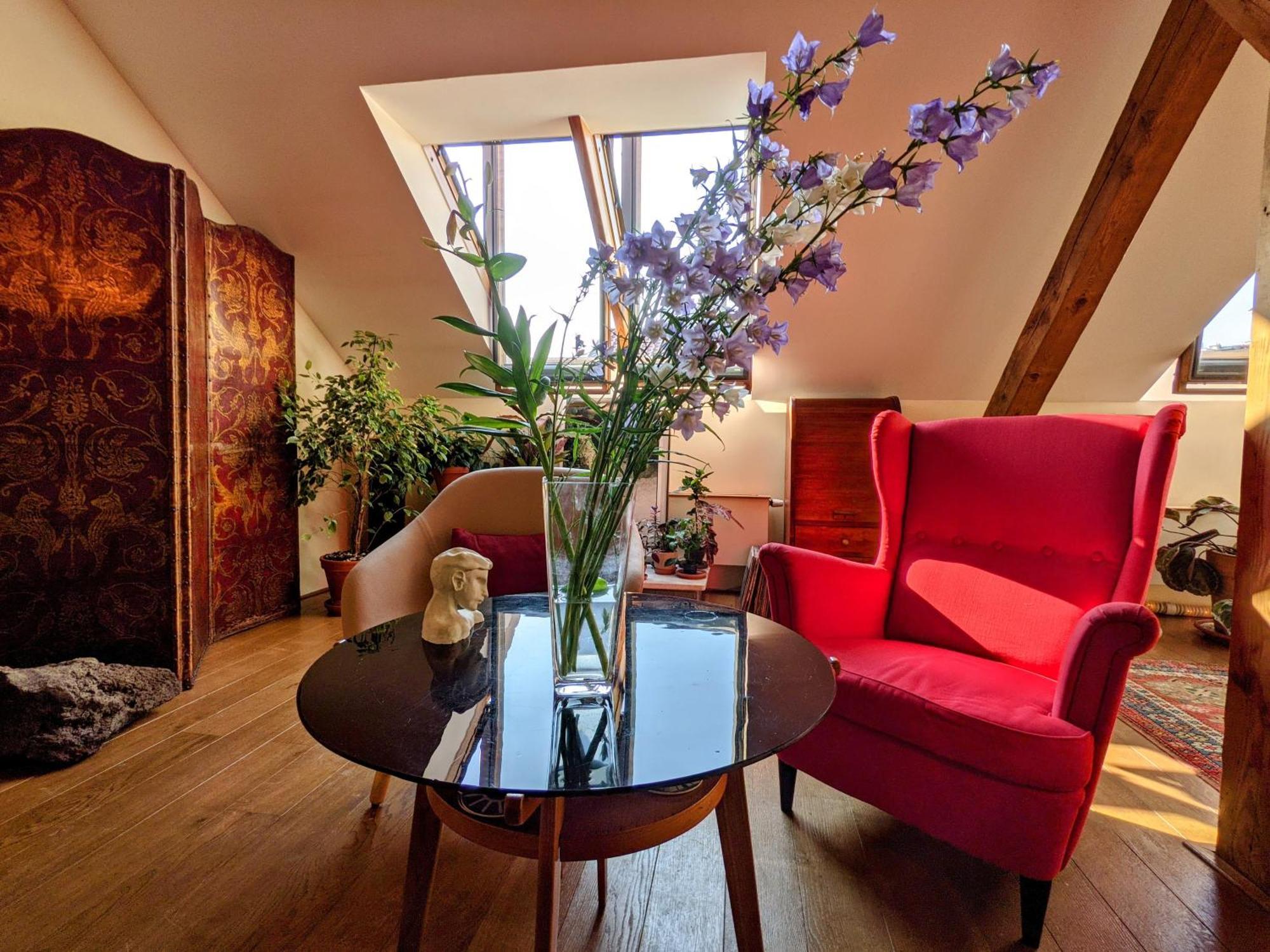 Guestrooms, Rooftop With Garden, Spacious Living Room, Character And Fireplace Praga